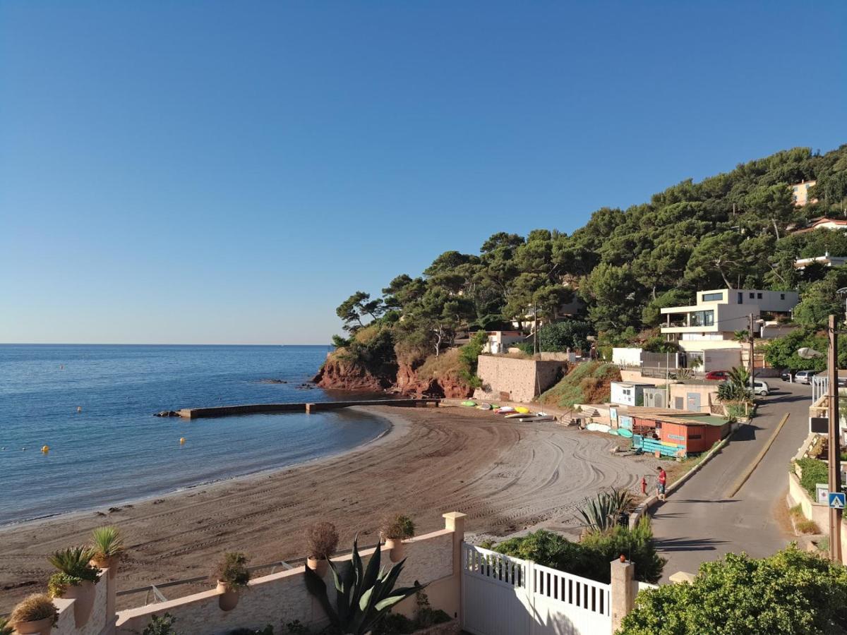 Loft Climatise "La Pinede", 50 M2, Tres Calme, 5 Mn A Pied Des Plages, Lit King Size La Seyne-sur-Mer Exterior photo